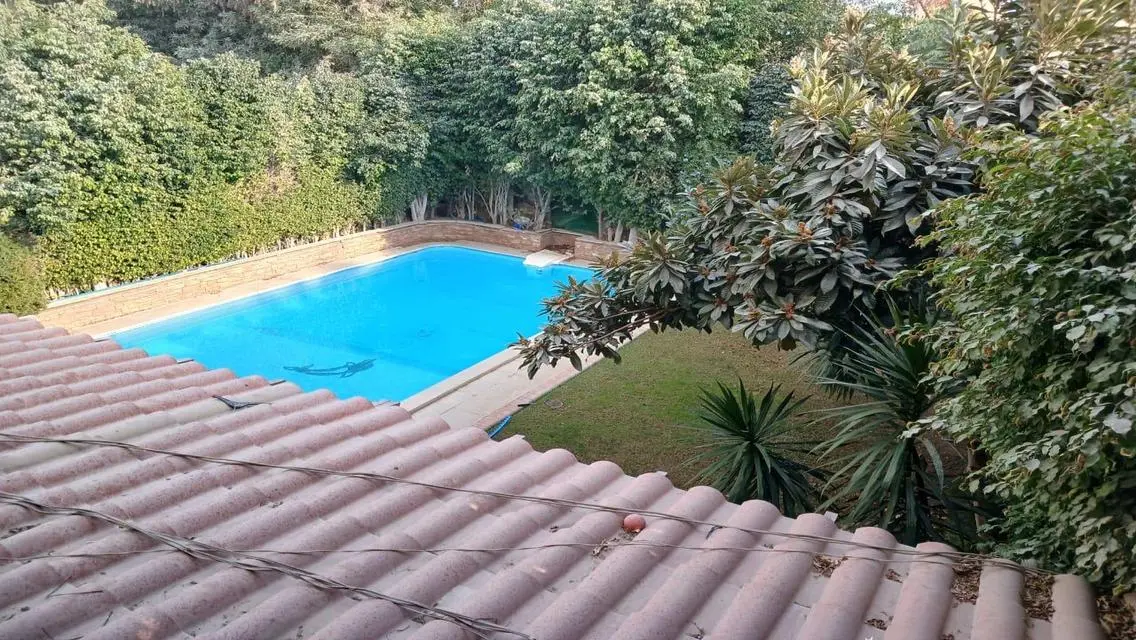 Luxurious Apartment in a Prime Location
