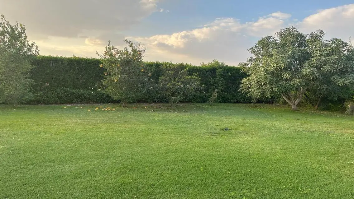 Luxurious House for Sale with 1000 Sqm