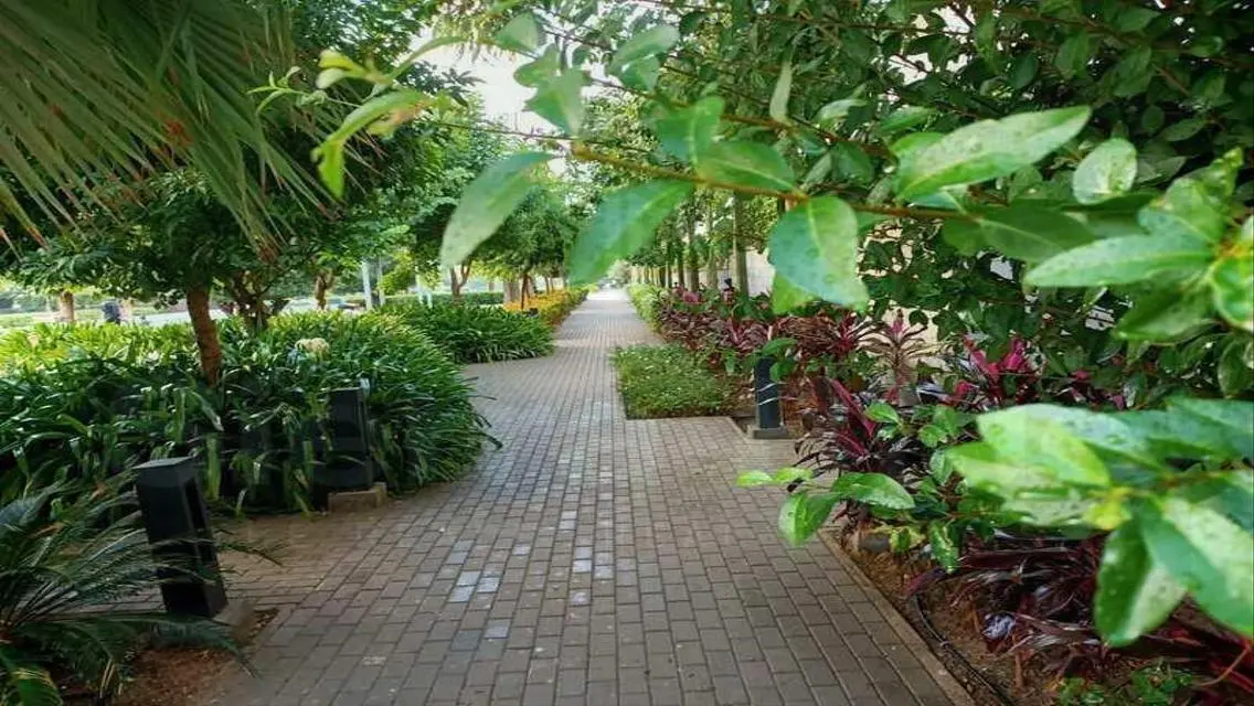 Luxurious Villa for Sale with Spacious Living