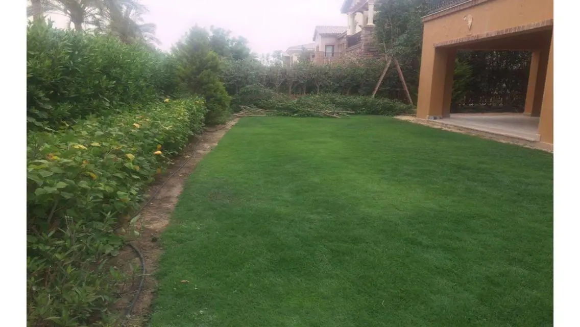 Luxury Villa for Rent with 650 sqm in Prime Location