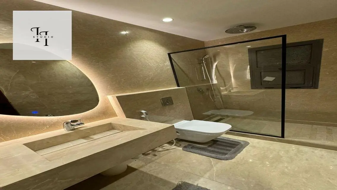Luxurious Apartment in Eastown Near AUC