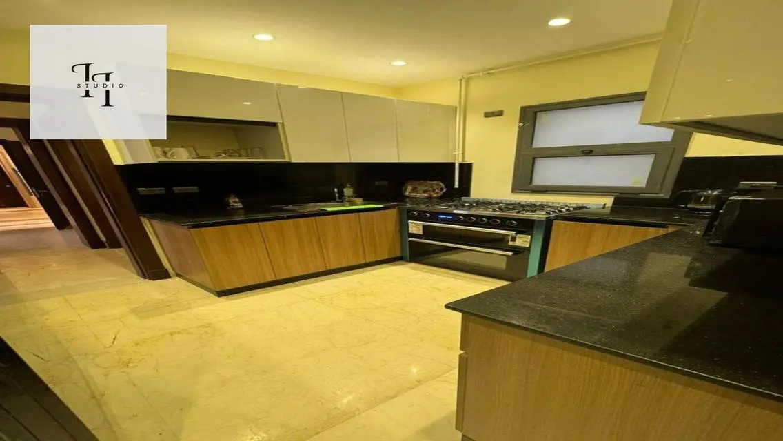 Luxurious Apartment in Eastown Near AUC
