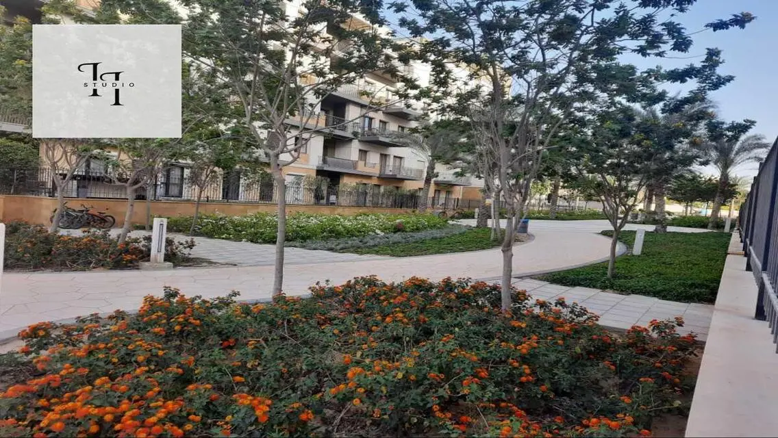Luxury Apartment in Eastown - AUC
