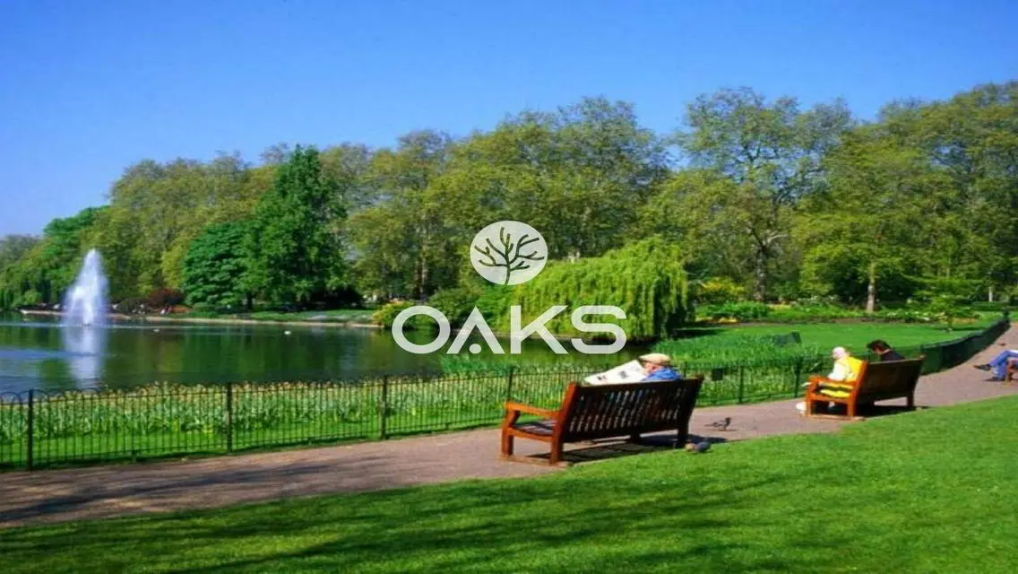 Luxury Apartment in Hyde Park