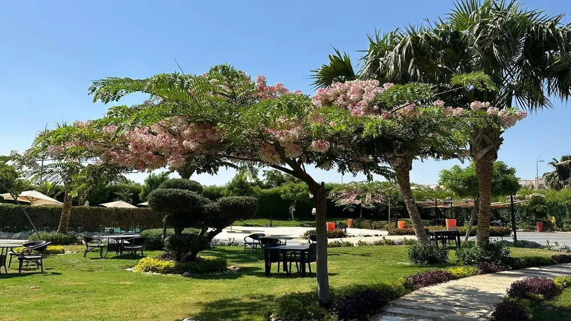 Luxury Apartment in 6 October - Stunning 3 Bedroom Deal