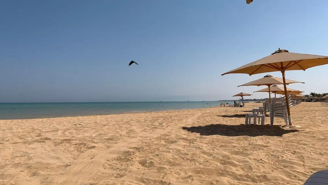 Luxury Apartment with Child Pool at an Attractive Price