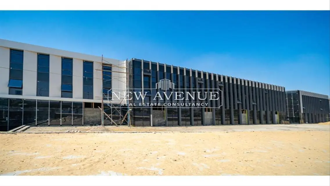 Luxury Apartment in the Heart of the City