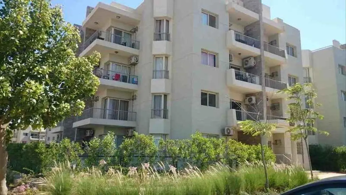 Luxury Apartment in Sheikh Zayed 109