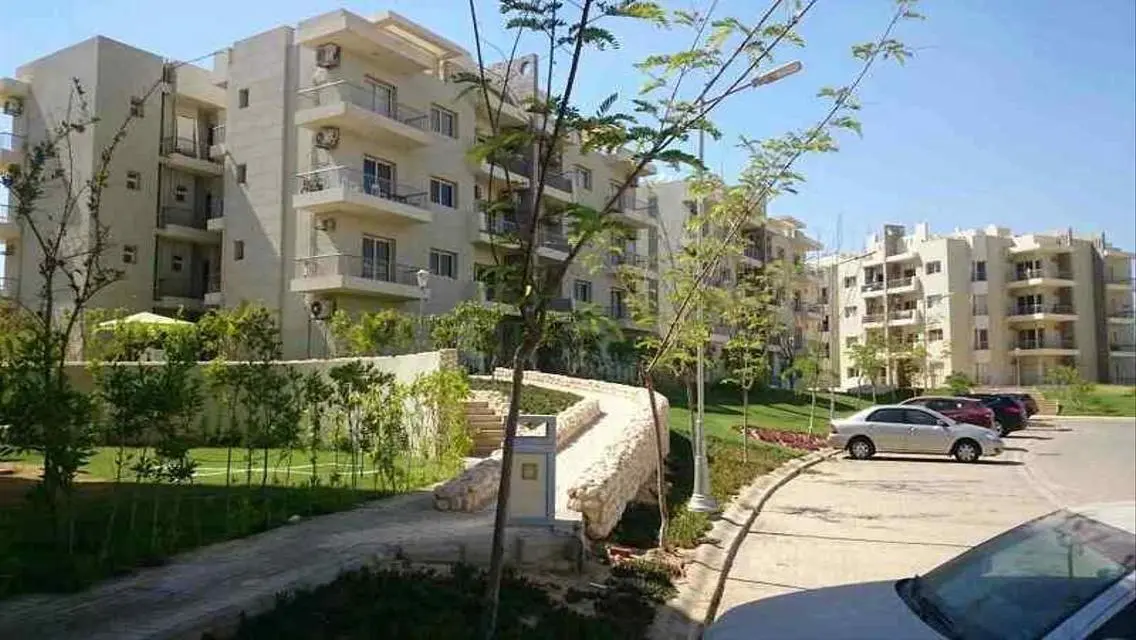 Luxury Apartment in Sheikh Zayed 109