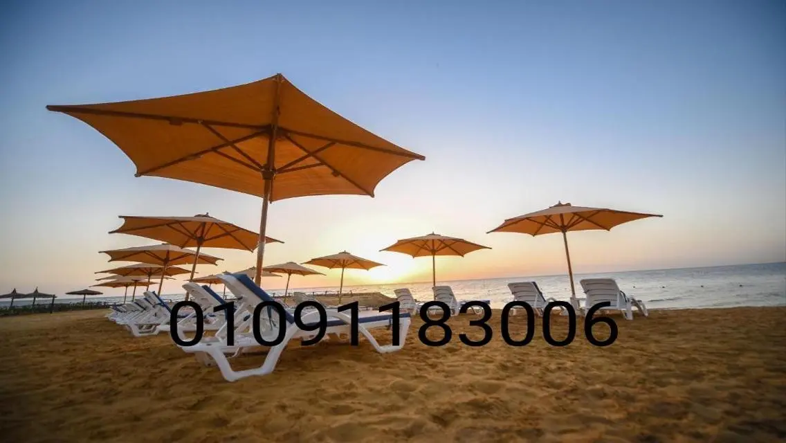 Stunning Apartment for Rent with 17700 Square Meters at Affordable Prices