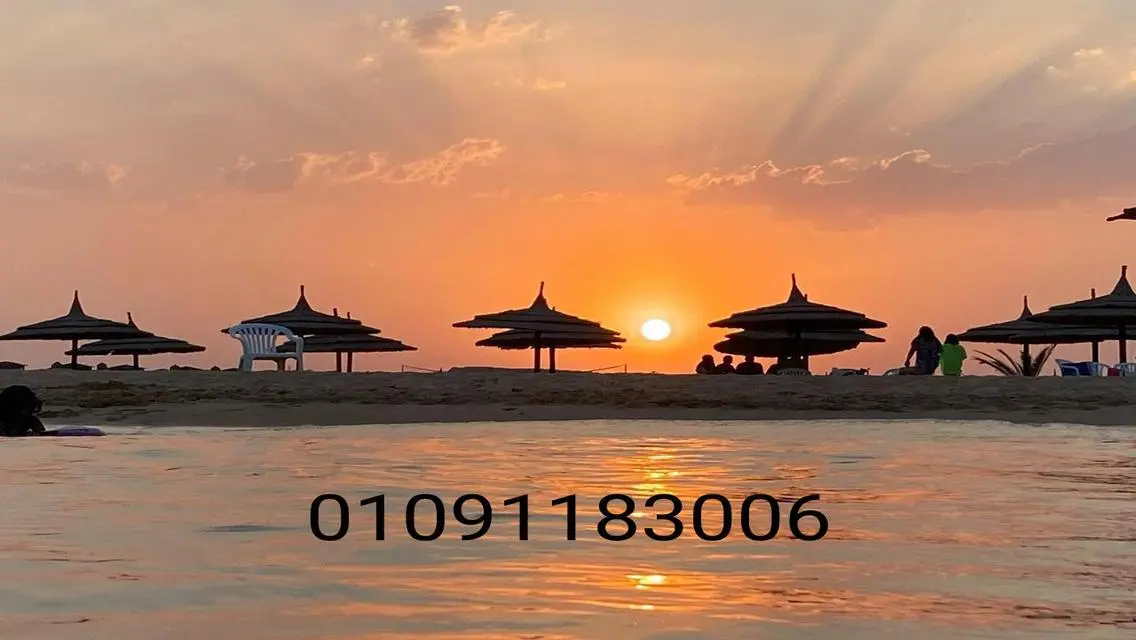 Luxury Apartment for Rent at an Attractive Price