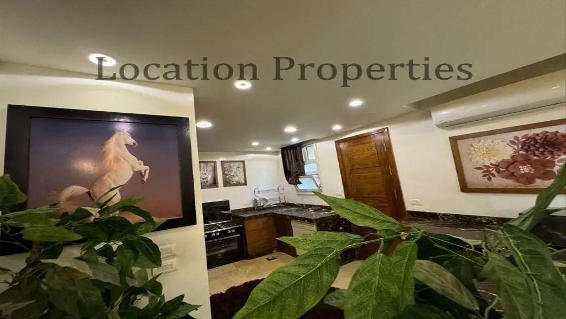Luxury Apartment in South Park