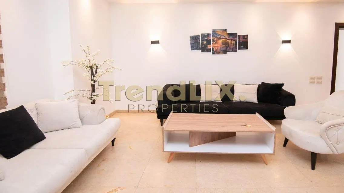 Luxury Apartment for Rent with Premium Amenities