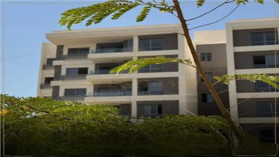 Luxurious Three-Bedroom Apartment in Smart City