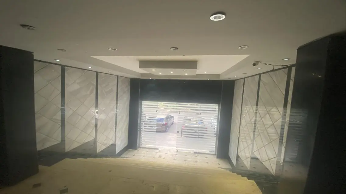 Luxury Apartment in Downtown