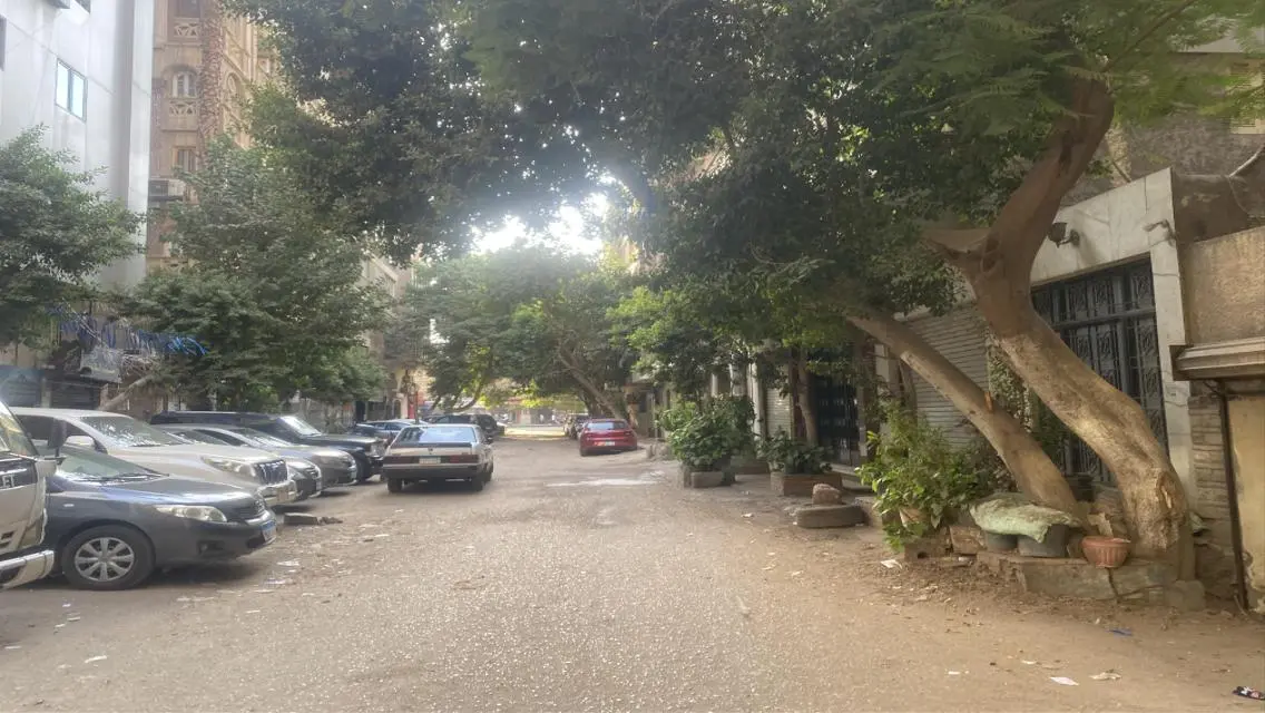 Luxury Apartment in Downtown