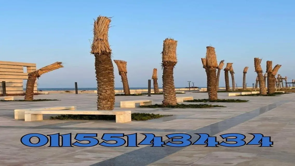Stunning Apartment in Zahya - New Mansoura
