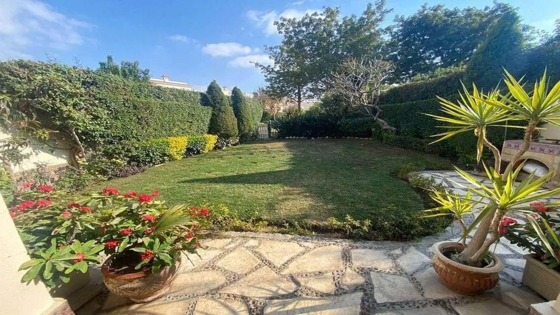 Unmatched Luxury at El Patio Prime - El Shorouk