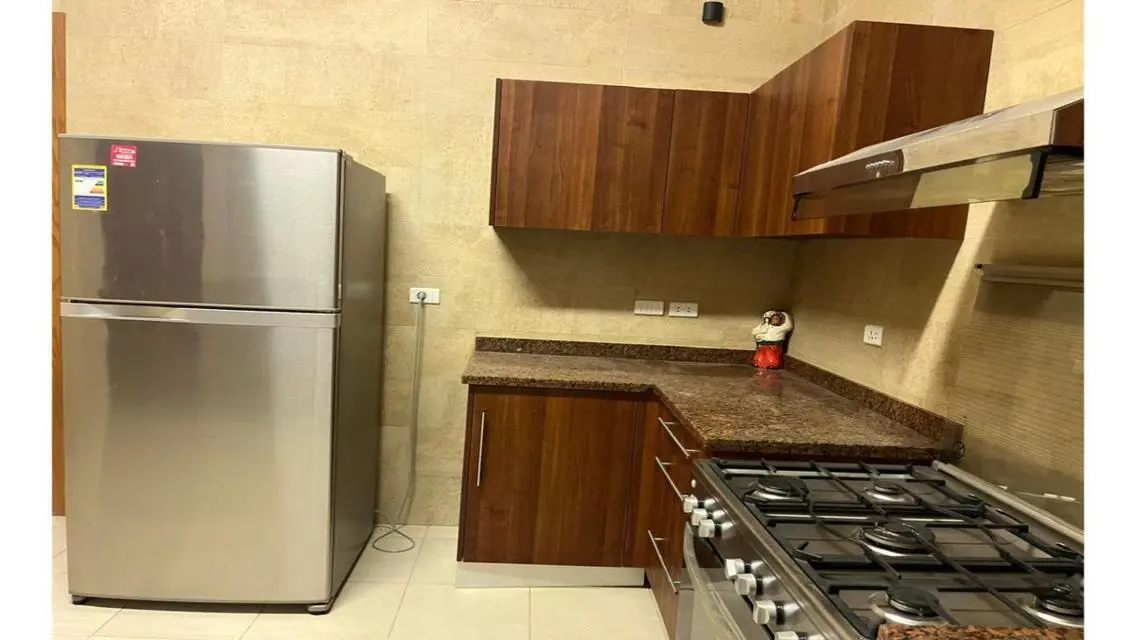 Luxurious Apartment Spanning 375 Meters in the Heart of the City