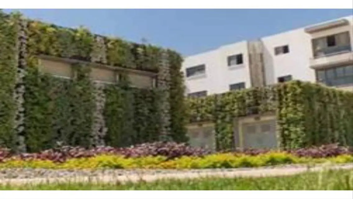 Open View Land 225 m² in Taj City
