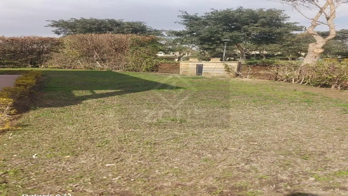Luxurious Apartment with Spacious Amenities
