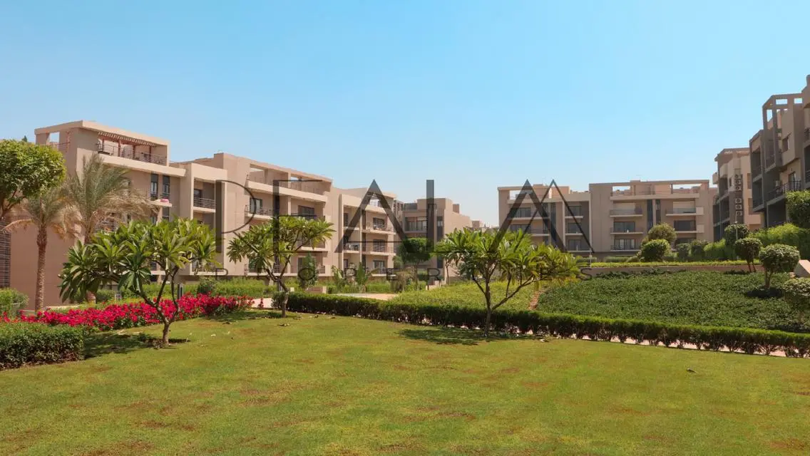 Luxury Villa for Rent at AUC