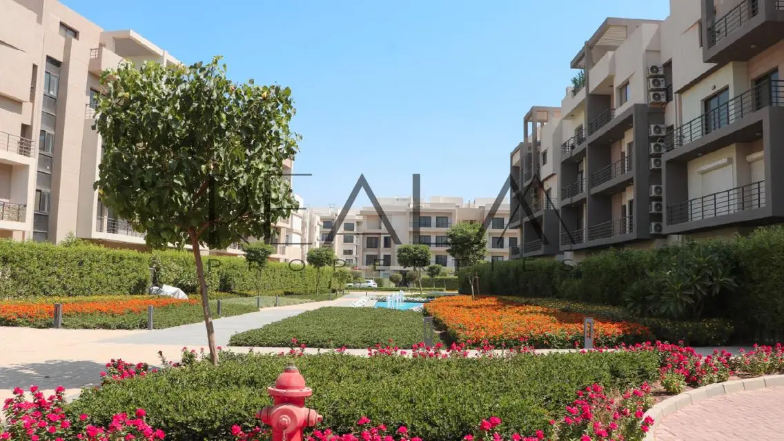 Luxury Villa for Rent at AUC
