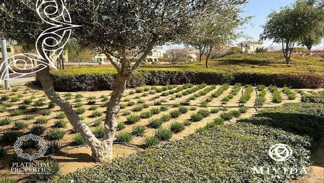 Luxury Villa with Private Garden and Shared Amenities