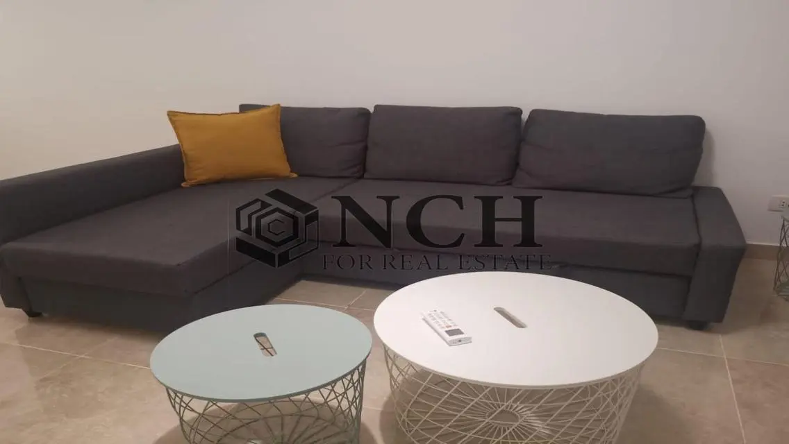 Luxury Apartment in Fifth Square