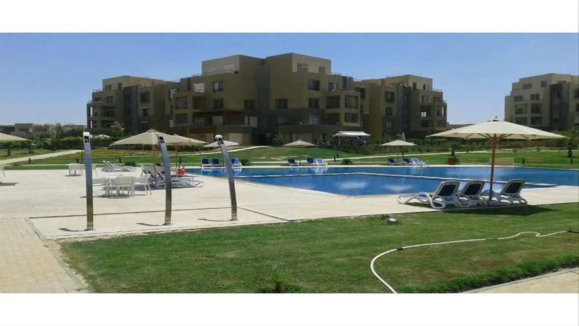 Luxury Apartment in Palm Parks