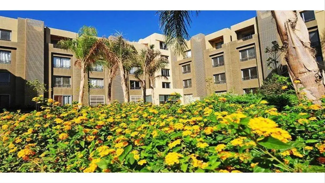 Luxury Apartment in Palm Parks