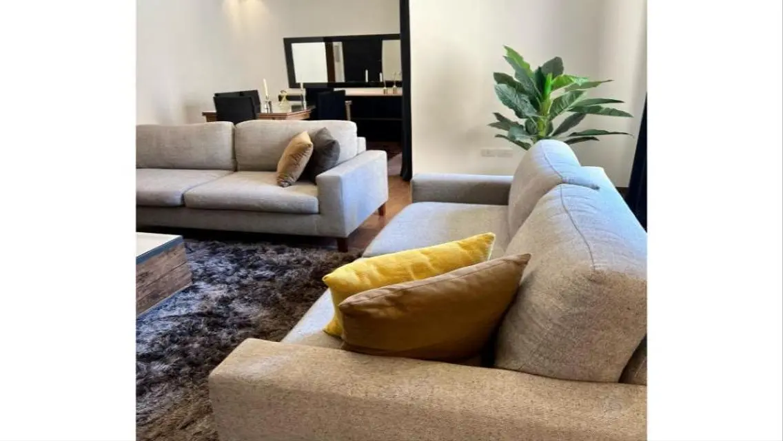 Luxury Apartment in the Heart of Cairo