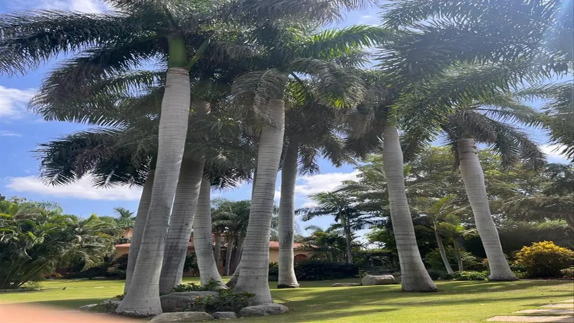 Stunning Villa with 1840 sqm Space, Private Garden and Pool