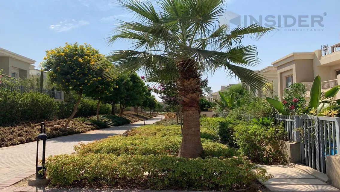 Luxury Villa with Lake View in AUC