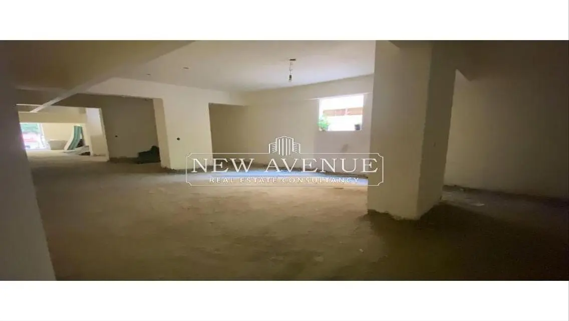 Luxury Apartment with Spacious Design