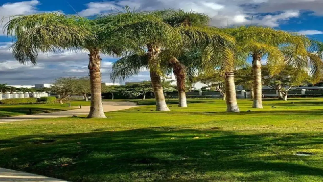Luxury Villa for Sale in a Prime Location