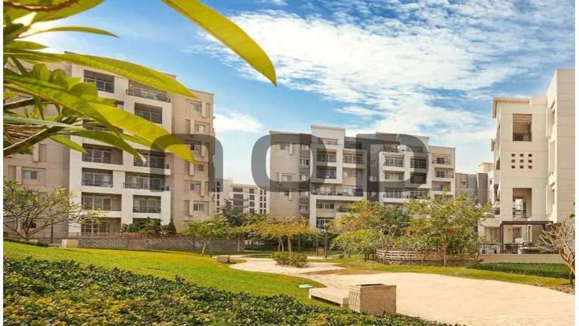 Premium Apartment in Downtown