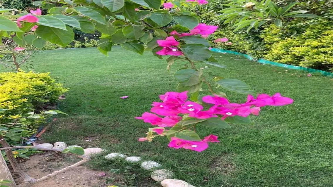 فيلا فاخرة للبيع بمساحة واسعة وسعر مغري