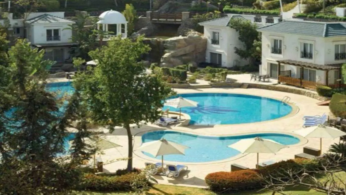 Luxury Apartment in Mountain View iCity October