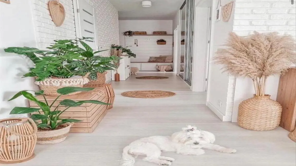 Luxury Apartment with Panoramic Nile View