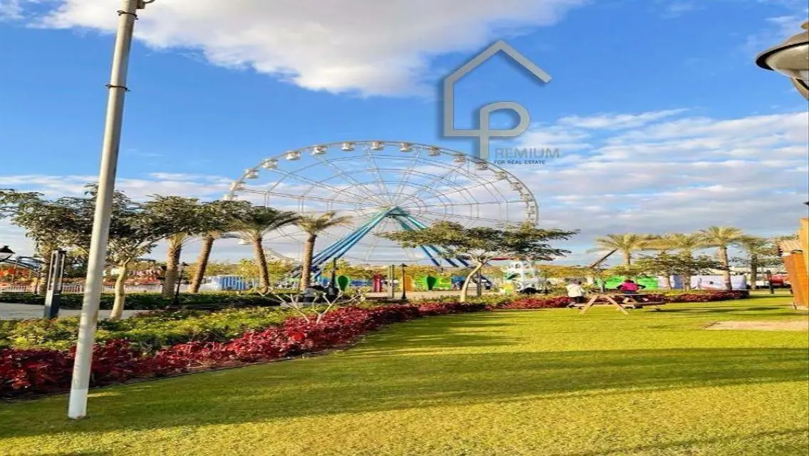 Luxury Apartment for Rent with Amazing Amenities