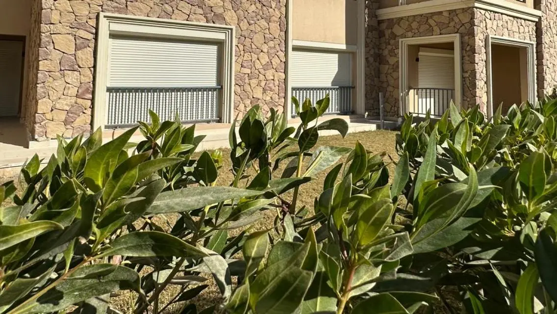 Luxury Apartment at Ninety Avenue for 45000