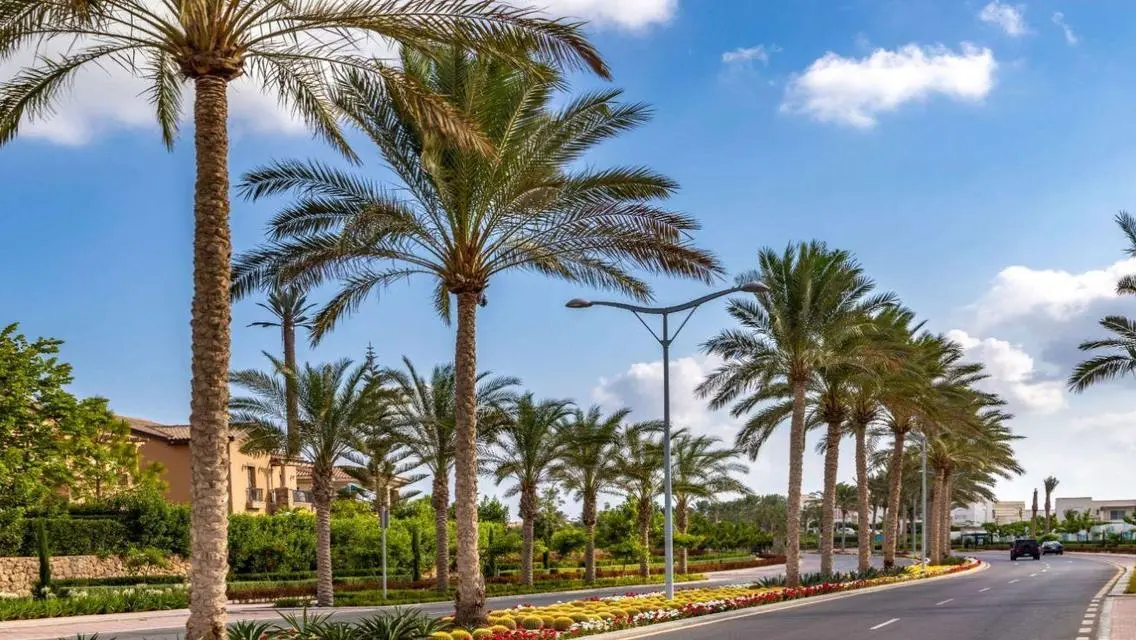 شقة فاخرة في The Address بسعر مغري
