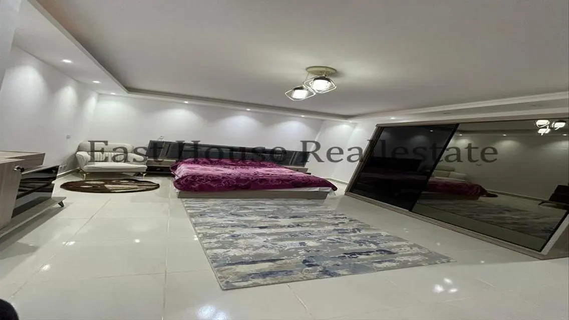 Luxury Apartment for Rent at an Excellent Price