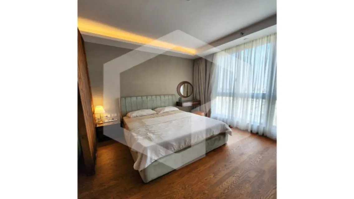 Luxurious Apartment in the Heart of the City