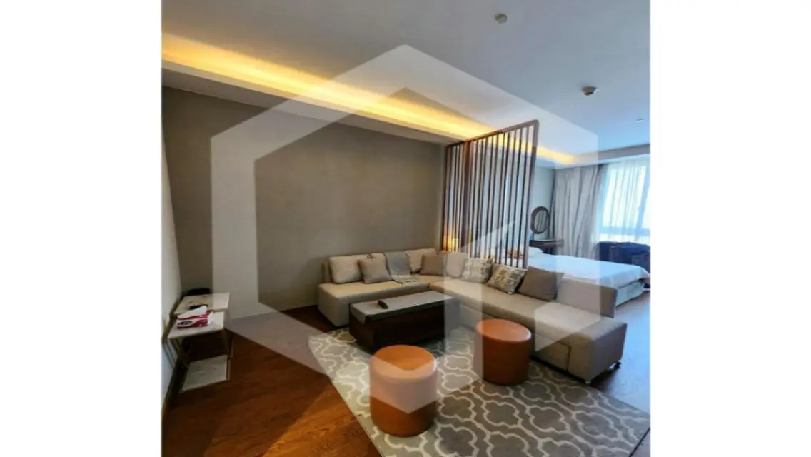 Luxurious Apartment in the Heart of the City