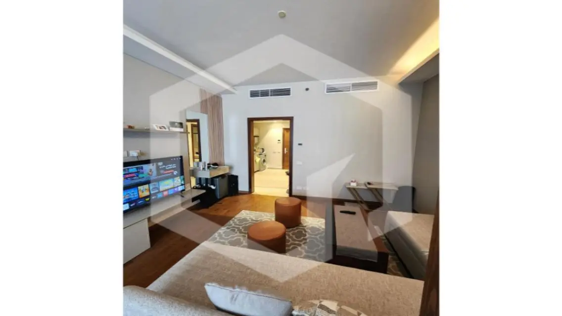 Luxurious Apartment in the Heart of the City