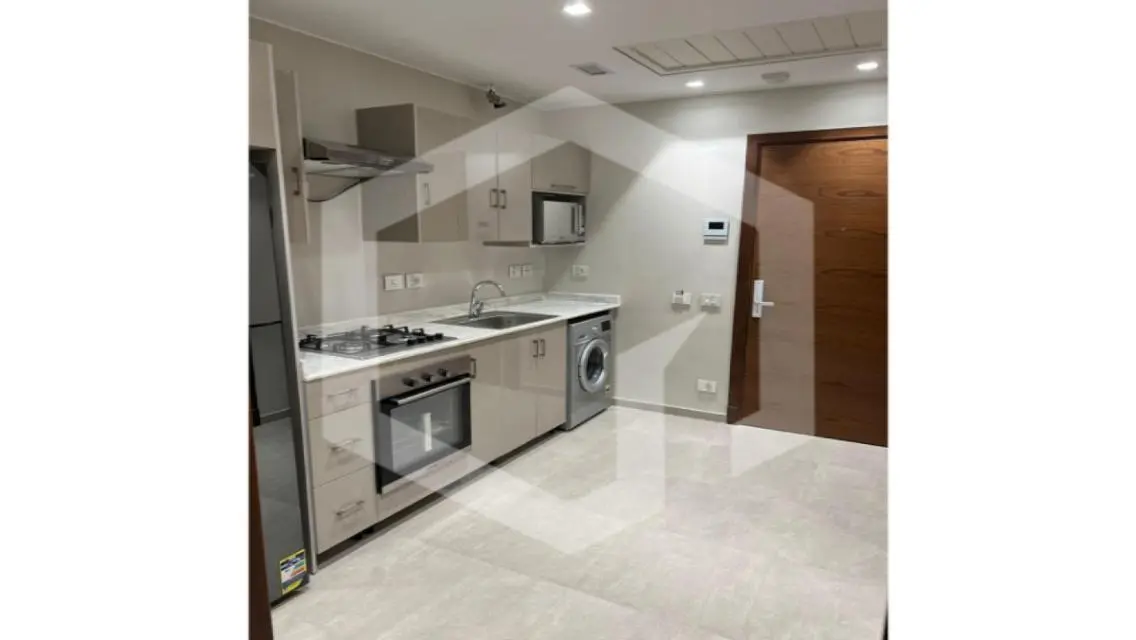 Luxurious Apartment in the Heart of the City