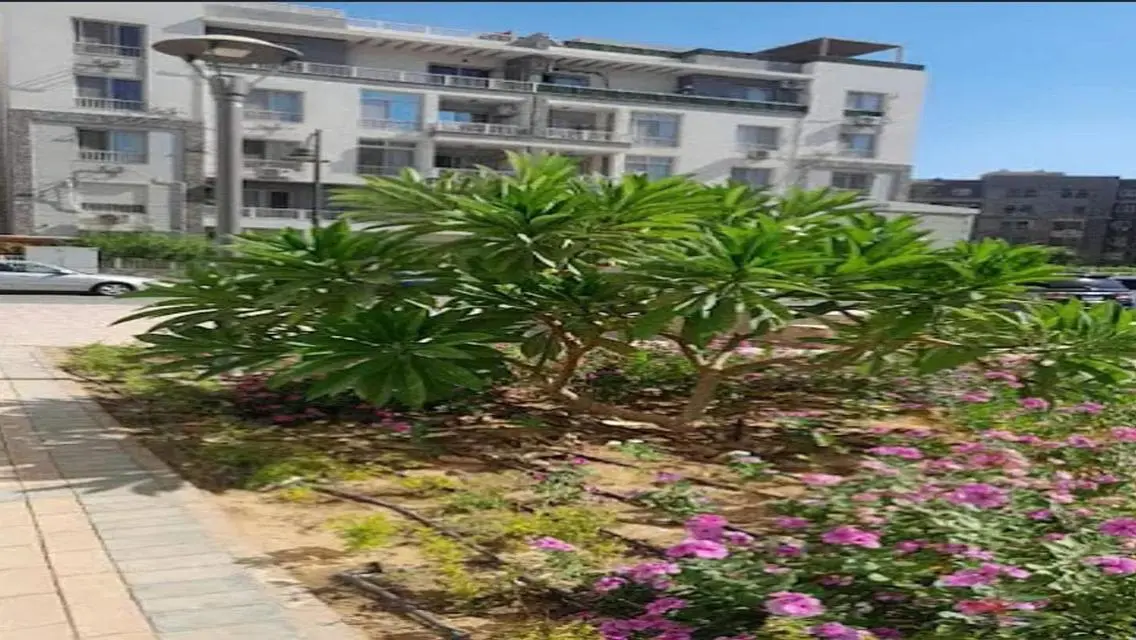 Luxury Apartment in O-West - Level 2