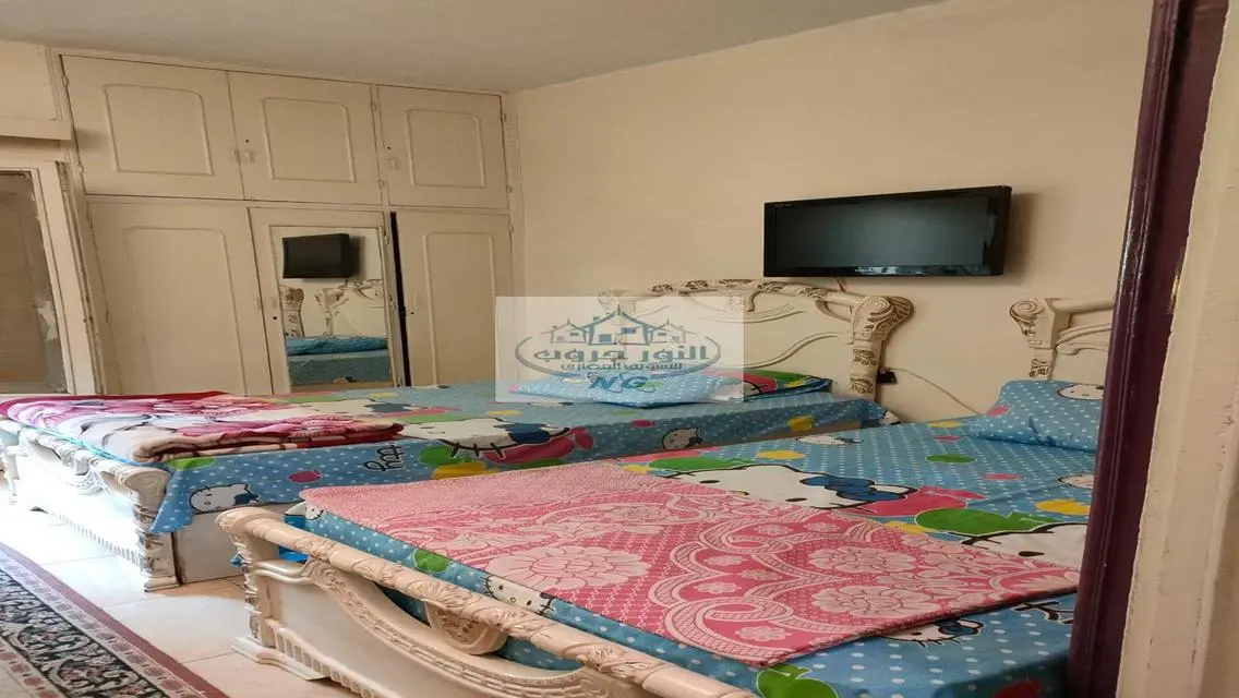 Fantastic Apartment for Rent - 1200 EGP